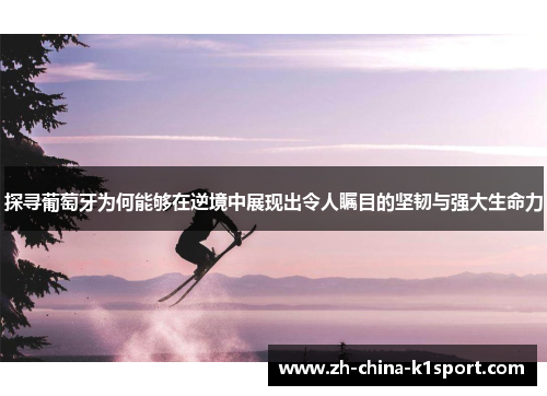 探寻葡萄牙为何能够在逆境中展现出令人瞩目的坚韧与强大生命力