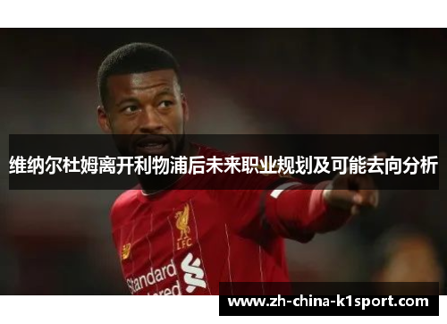 维纳尔杜姆离开利物浦后未来职业规划及可能去向分析 维纳尔杜姆离开利物浦后未来职业规划及可能去向分析