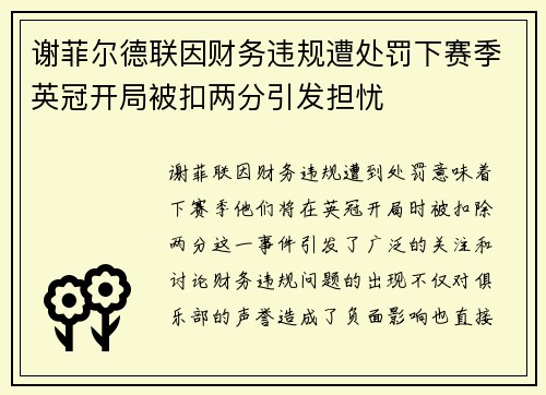 谢菲尔德联因财务违规遭处罚下赛季英冠开局被扣两分引发担忧